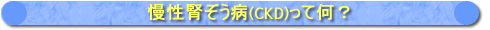 CKDってなに？